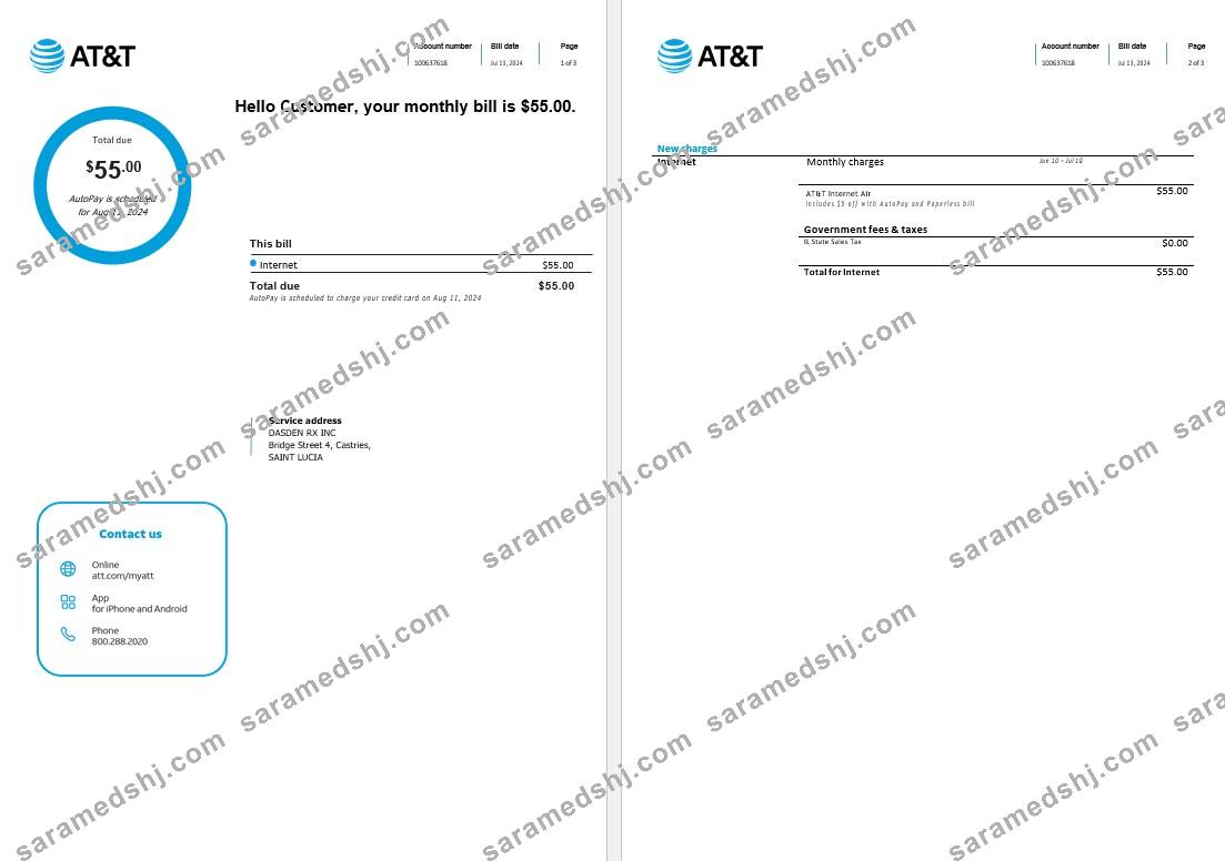 Saint Lucia internet business utility bill Word and PDF template, 3 pages1